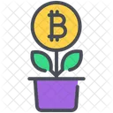 Bitcoin Digital Growth Icon