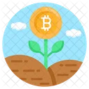 Business Growth Money Growth Bitcoin Growth Icon