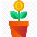 Bitcoin Growth Bitcoin Plant Crypto Plant Icon