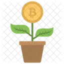 Watering Growth Investment Icon