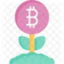 Bitcoin Growth Bitcoin Growth Icon