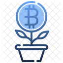 Plant Bitcoin Cryptocurrency Icon