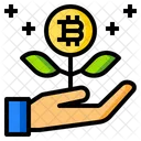 Bitcoin Growth Growth Analytics Icon