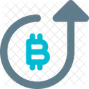 Bitcoin Growth  Icon