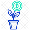 Bitcoin Growth Bitcoin Cryptocurrency Icon