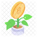 Bitcoin Growth Crypto Network Bitcoin Network Icon