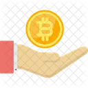 Bitcoin hand  Icon