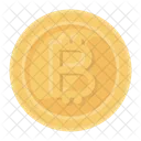 Bitcoin Digital Currency Cryptocurrency Icon