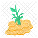 Bitcoin  Icon