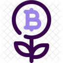 Bitcoin Cryptocurrency Digital Currency Icon