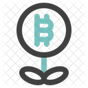 Bitcoin Investment  Icon
