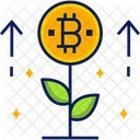 Bitcoin Investment  Icon