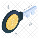 Bitcoin Key Cryptocurrency Access Crypto Icon