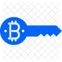 Key Bitcoin Key Bitcoin Password Icon