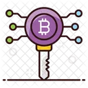 Bitcoin Key Digital Key Encryption Key Icon