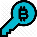 Bitcoin Key Icon