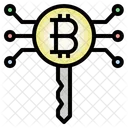 Bitcoin Key Password Digital Currency Icon