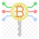 Bitcoin Key Password Bitcoin Icon