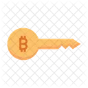 Bitcoin Key  Symbol
