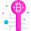 Bitcoin Key  Symbol