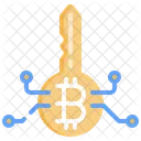 Bitcoin Key Crypto Bitcoin Icon