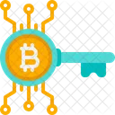 Bitcoin Key Key Digital Icon