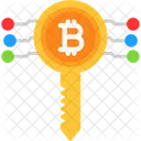 Bitcoin Key Bitcoin Cryptocurrency Icon