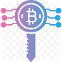 Bitcoin Cryptocurrency Key Icon