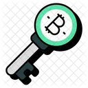 Bitcoin Key Cryptocurrency Access Crypto Icon