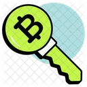 Bitcoin Key  Icon