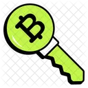 Bitcoin Key Pass Key Icon