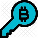 Bitcoin Key Icon