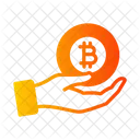 Bitcoin ownership  Icon
