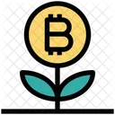 Bitcoin Plant Bitcoin Plant Icon