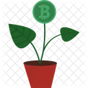 Bitcoin Plant Bitcoin Coin Icon