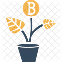 Bitcoin Plant  Icon