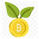 Bitcoin Plant Growth Cryptocurrency Plant Pot Crypto Symbol