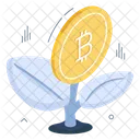 Bitcoin Plant Growth  Icon