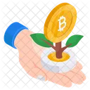 Bitcoin plant growth  Icon