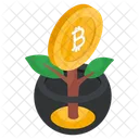 Bitcoin plant growths  Icon