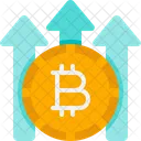 Bitcoin Raise Raise Increase Icon