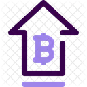 Bitcoin Cryptocurrency Digital Currency Icon