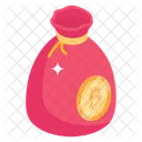 Money Bag Bitcoin Bag Bitcoin Sack Icon