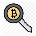 Bitcoin Security Key Crypto Protection Icon