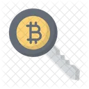 Bitcoin security key  Icon