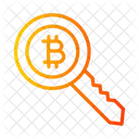 Bitcoin Security Key Currency Bitcoin Icon