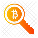 Bitcoin security key  Icon