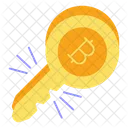 Bitcoin Keys Key Password Icon
