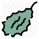 Biter Ground Cucurbitaceae Momordica Charantia Icon