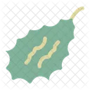 Biter Ground Cucurbitaceae Momordica Charantia Icon